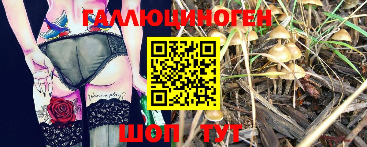 Псилоцибиновые грибы прущие грибы  Вход с VPN  Белогорск 